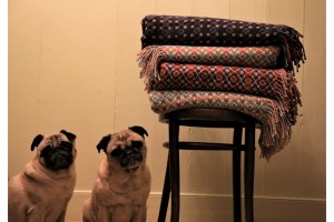New lambswool throws . T07